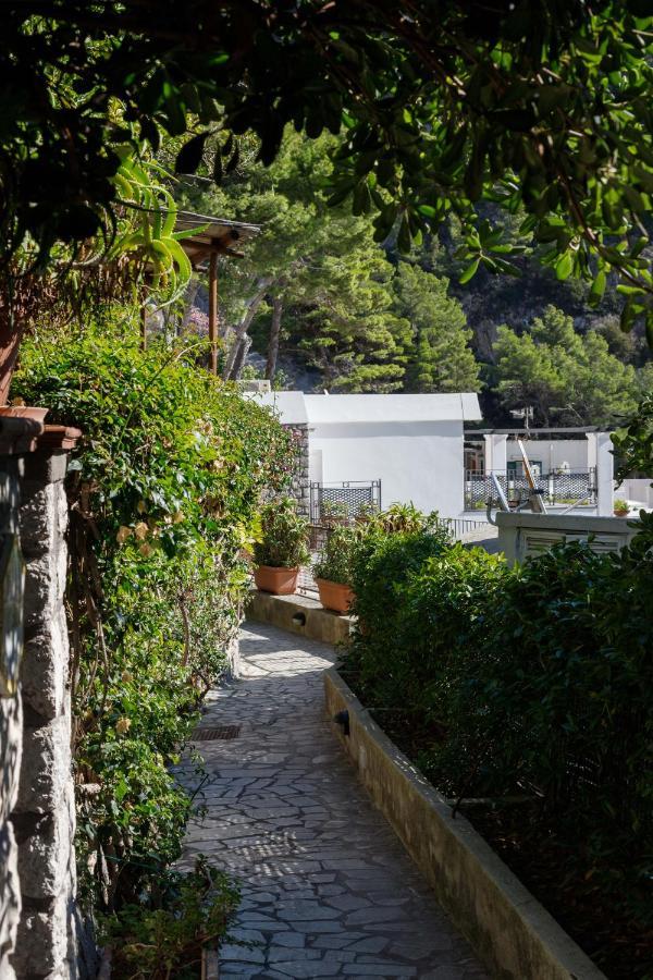Apartment Casa Allegra - With Terrace & Panoramic View Capri